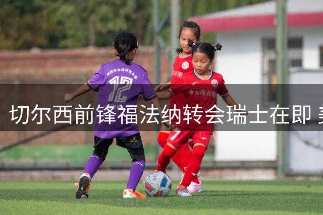 切尔西前锋福法纳转会瑞士在即 美国小将威利外租英冠