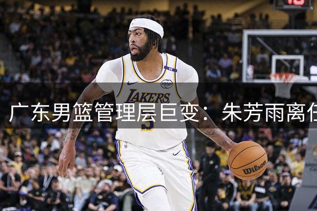 广东男篮管理层巨变：朱芳雨离任、周鹏回归、徐昕归队
