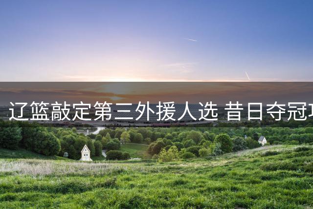 辽篮敲定第三外援人选 昔日夺冠功臣回归